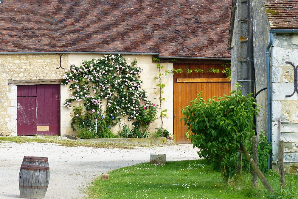 bon coin pays loire rencontre